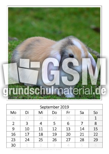 September_Kaninchen_1.pdf
